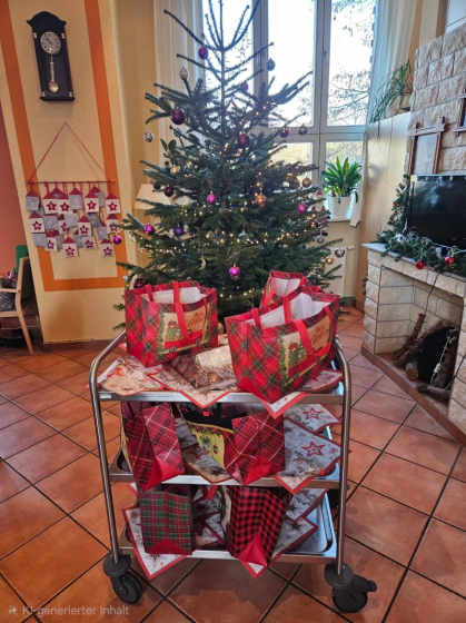 Weihnachtszeit TP Steintorpalais (4)